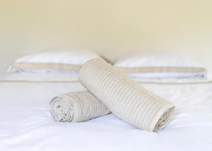 Apartman Spacieux 4 , Clim Au Coeur De Maisoncarreeconciergerie *